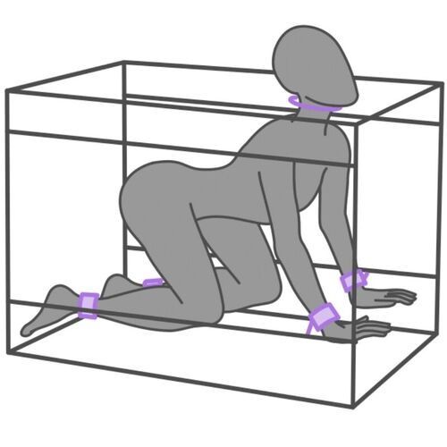 SECRET DOME - KINK CLUB LA NICHE CABINA  MORADO