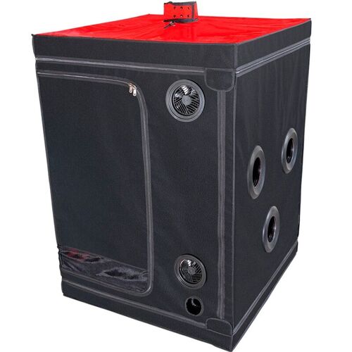 SECRET DOME - KINK CLUB CABINA SCANDALE NEGRO & ROJO