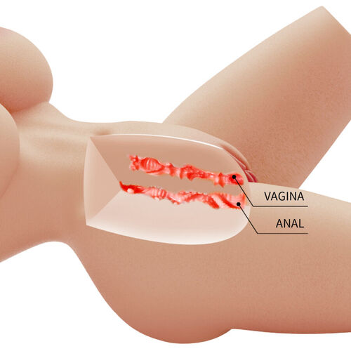 CRAZY BULL - LILY MASTURBADOR FEMENINO TORSO REALÍSTICO VAGINA Y ANAL 4 KG