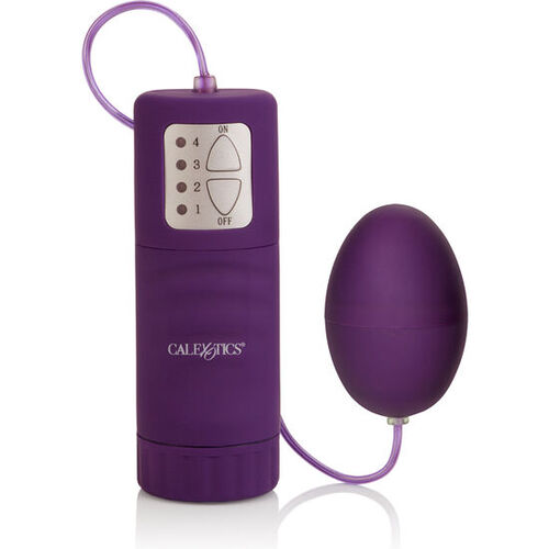 CALEX POCKET HUEVO VIBRADOR MORADO 4V